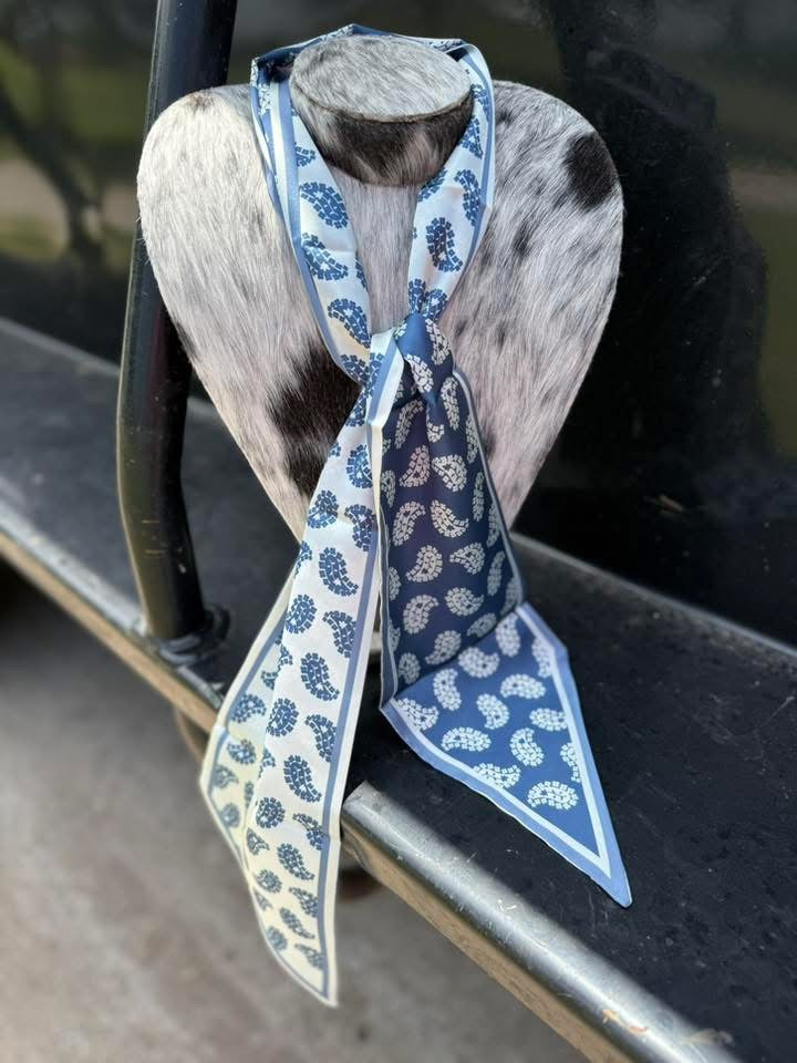 Blue & White Big Paisley Twilly Scarf